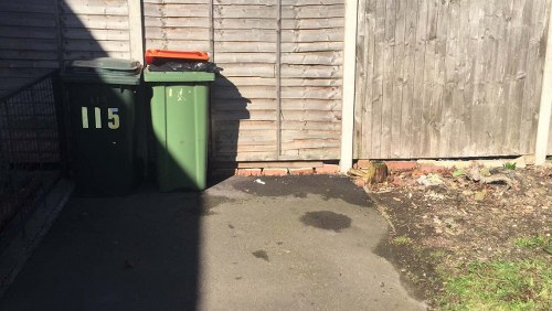 Garden worker pruning shrubs in Chigwell